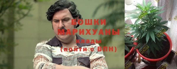 СК Бронницы