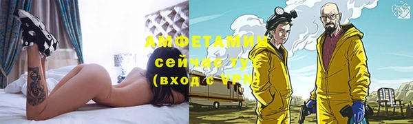 СК Бронницы
