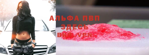 СК Бронницы