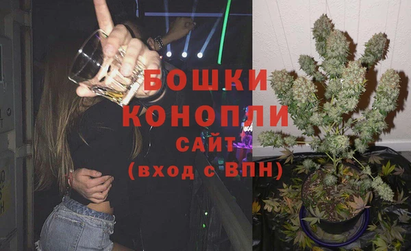 СК Бронницы
