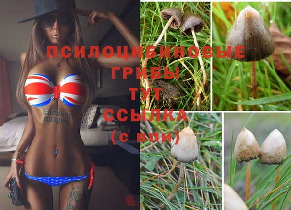 кокаин премиум Бородино