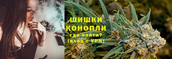 СК Бронницы