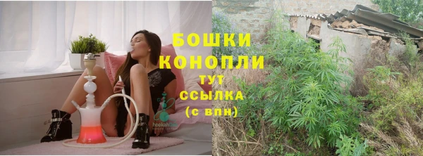 СК Бронницы