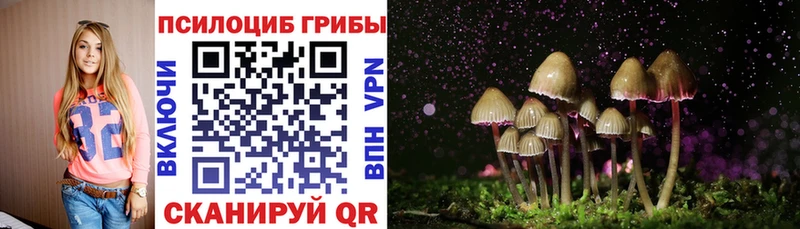 Галлюциногенные грибы Magic Shrooms  Ростов 